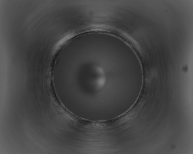 X0000091461411200708301821