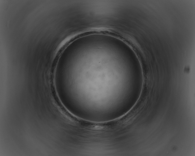 X0000091461412200708301821