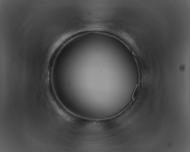 X0000091461414200708301821