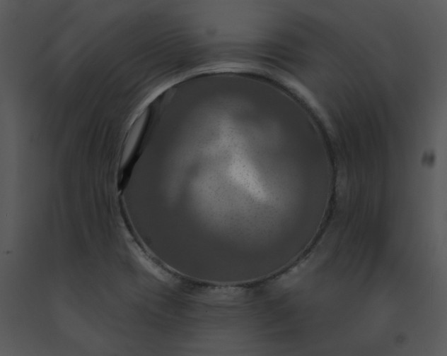 X0000091461417200708301821