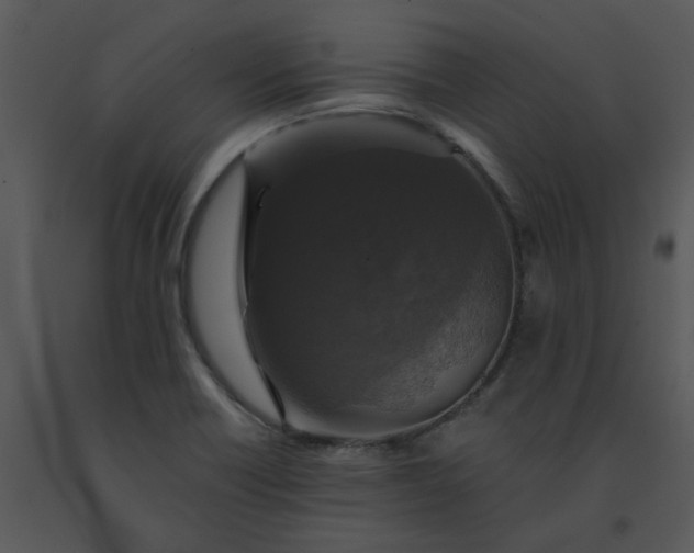 X0000091461418200708301821