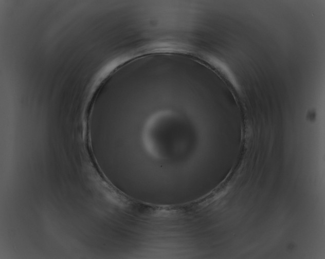 X0000091461419200708301821