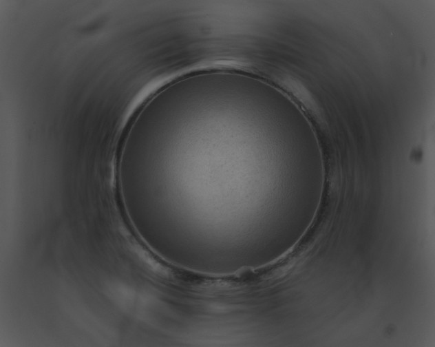 X0000091461420200708301821