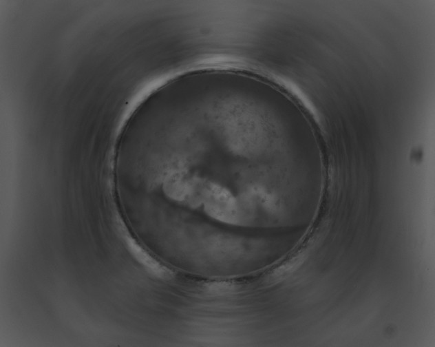 X0000091461421200708301821