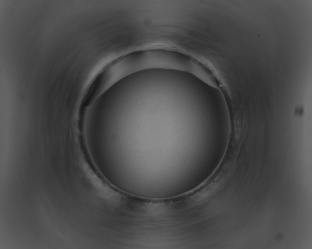 X0000091461422200708301821