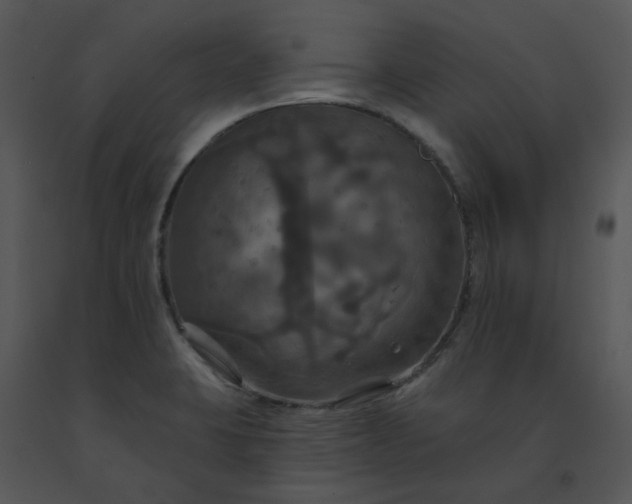 X0000091461423200708301821