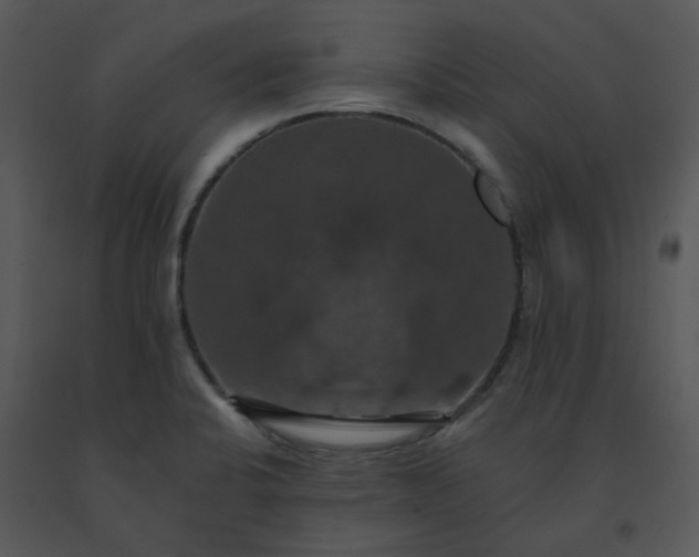 X0000091461424200708301821