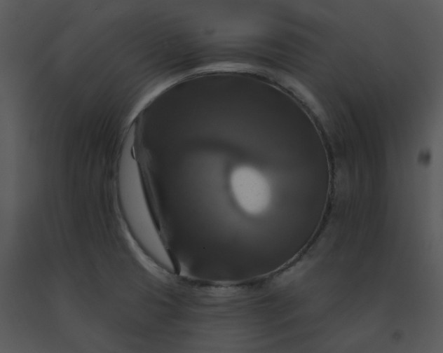 X0000091461425200708301821