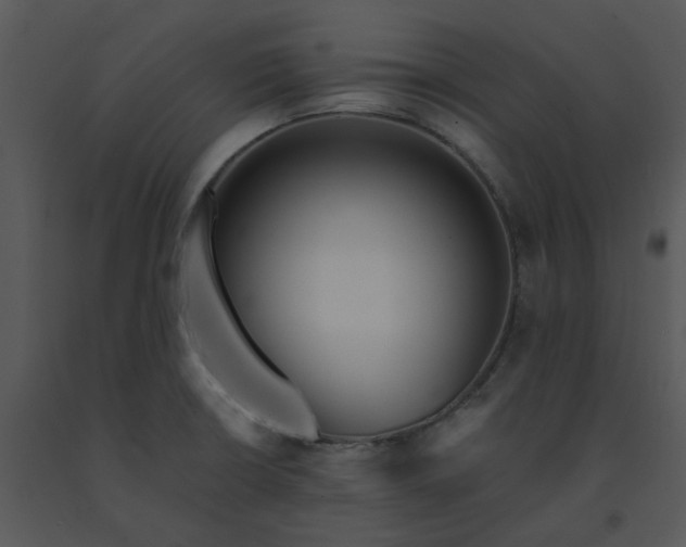 X0000091461426200708301821