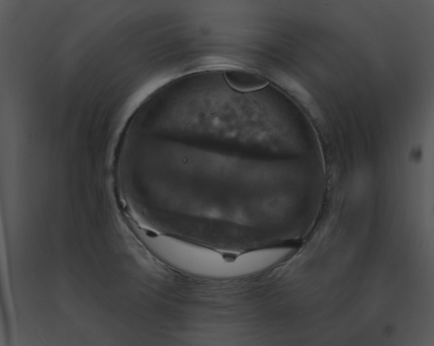 X0000091461427200708301821