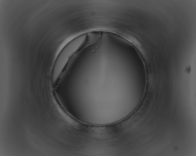 X0000091461428200708301821