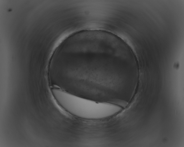 X0000091461429200708301821