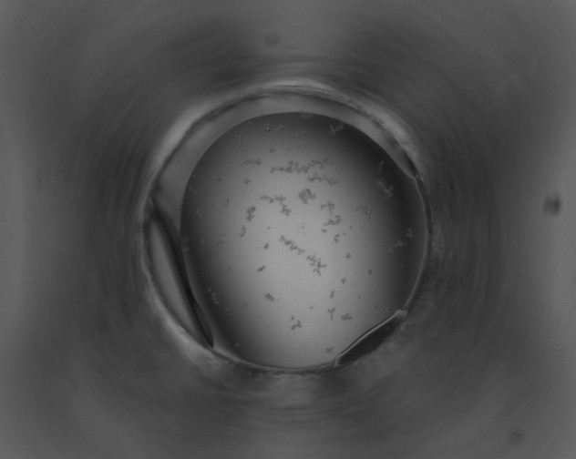 X0000091461430200708301821