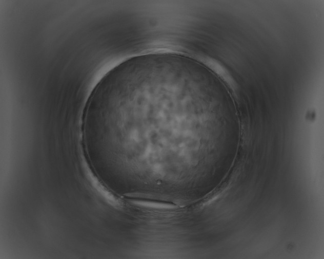 X0000091461431200708301821