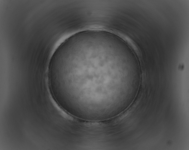 X0000091461432200708301821