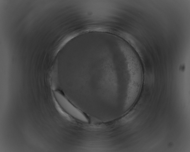 X0000091461433200708301821