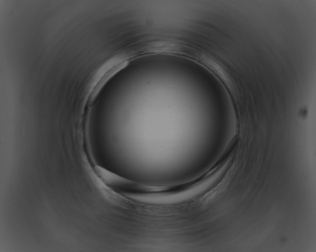 X0000091461434200708301821