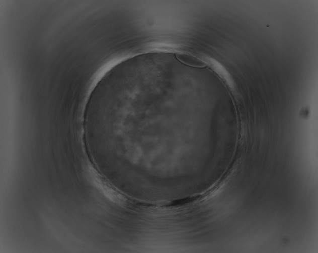 X0000091461435200708301821