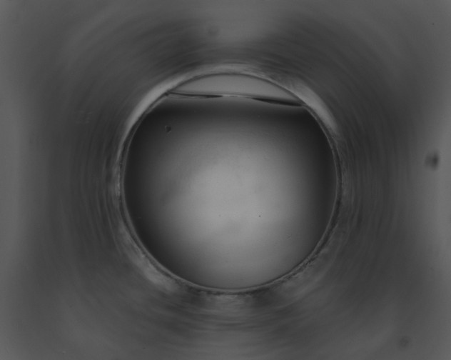 X0000091461436200708301821