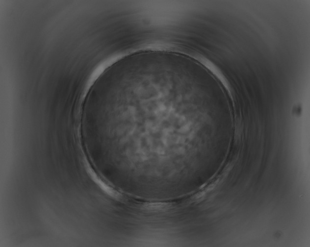 X0000091461437200708301822