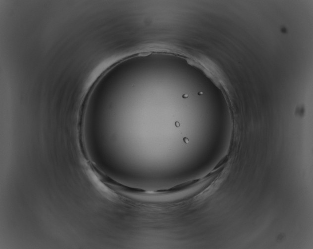 X0000091461438200708301822