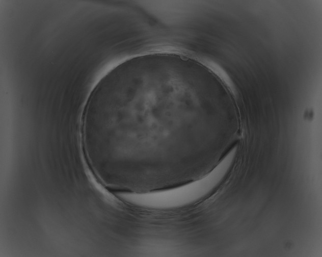 X0000091461439200708301822