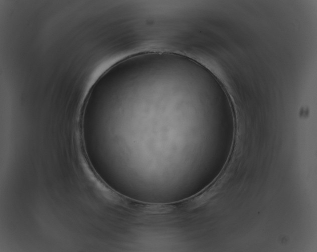 X0000091461440200708301822