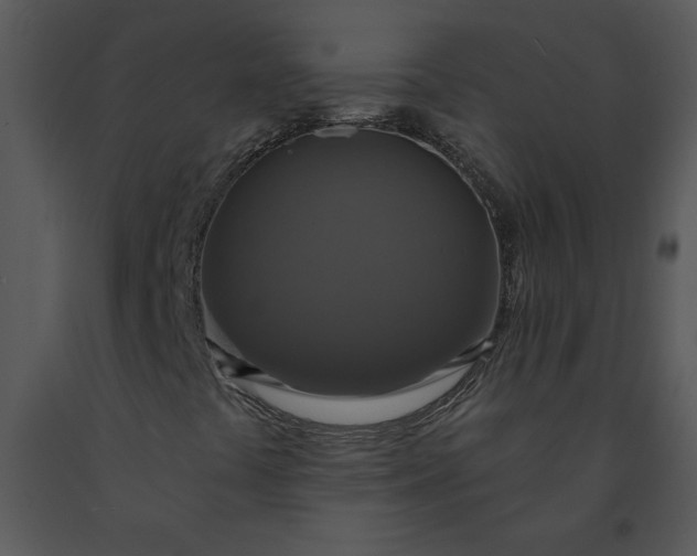 X0000091461441200708301821