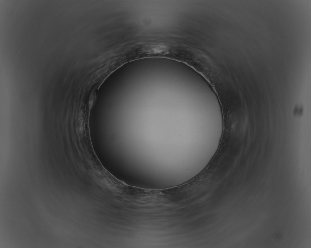 X0000091461442200708301821