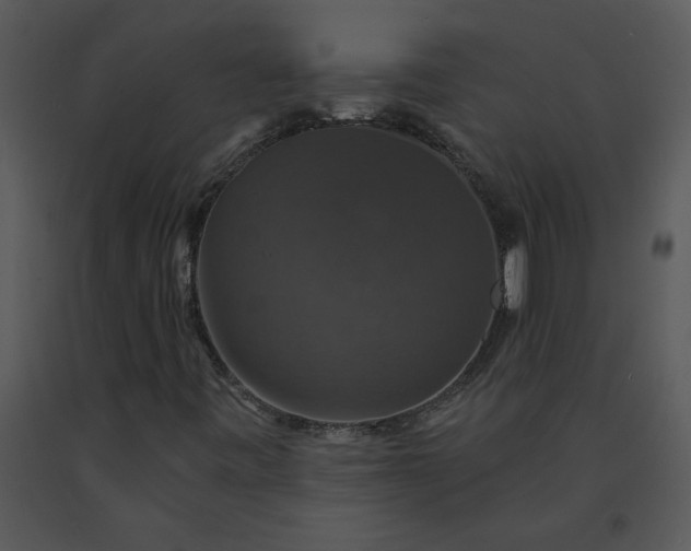 X0000091461443200708301821