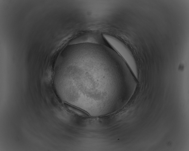 X0000091461444200708301821