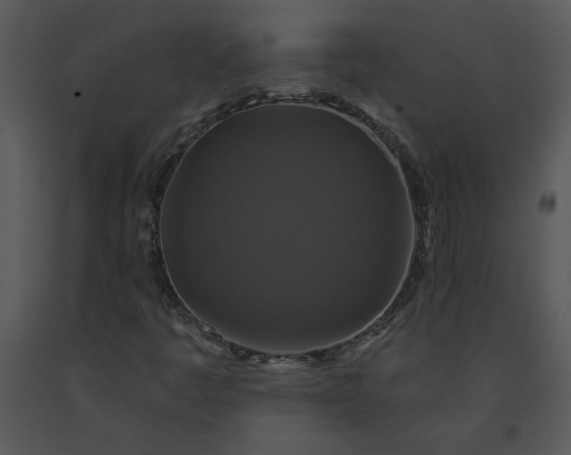 X0000091461445200708301821