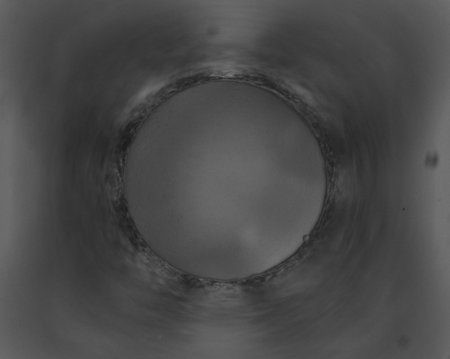 X0000091461446200708301821