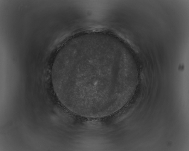 X0000091461447200708301821