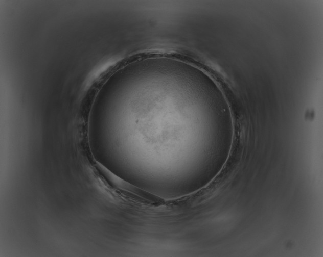 X0000091461448200708301821