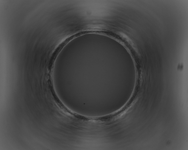 X0000091461449200708301821