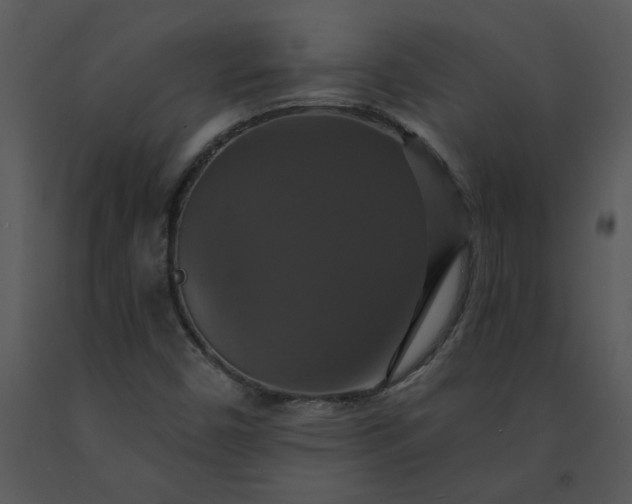 X0000091461450200708301821