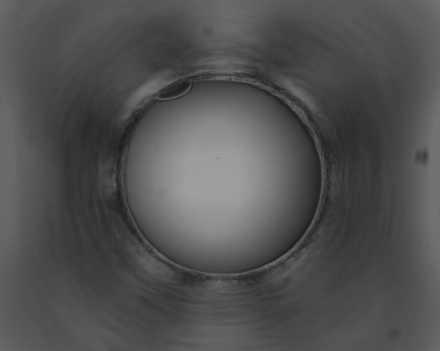 X0000091461451200708301821