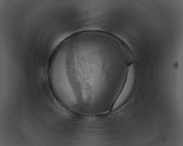 X0000091461452200708301821