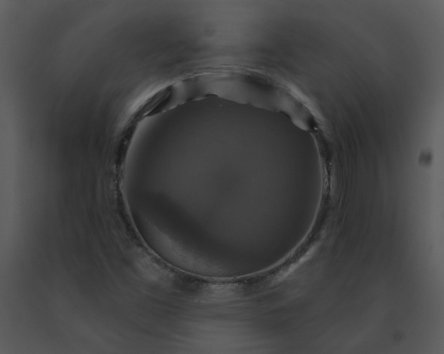 X0000091461453200708301821