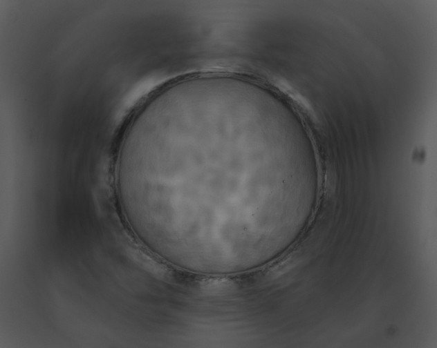 X0000091461454200708301821