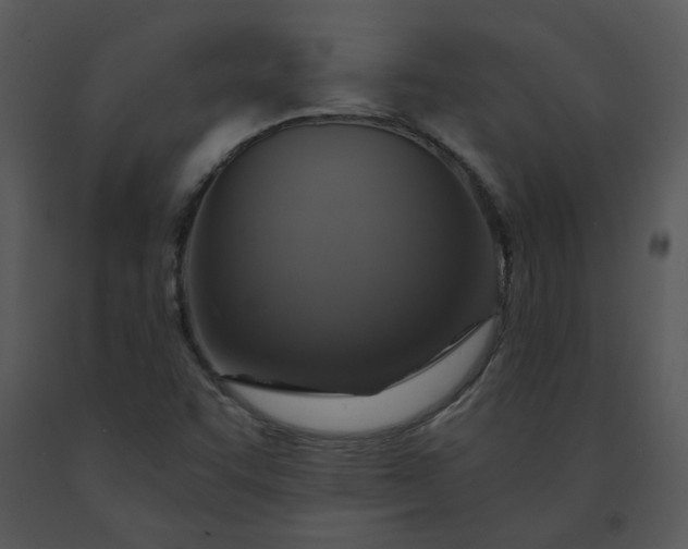 X0000091461455200708301821