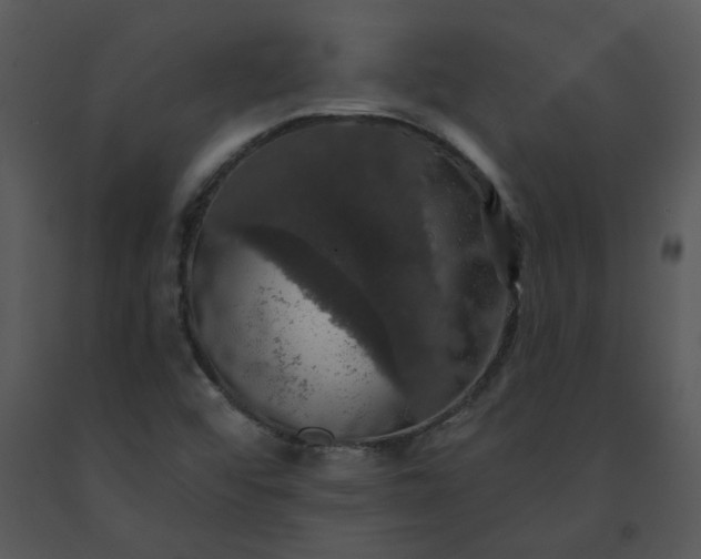 X0000091461456200708301821