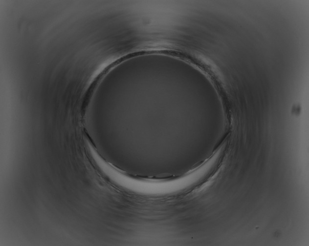 X0000091461457200708301821