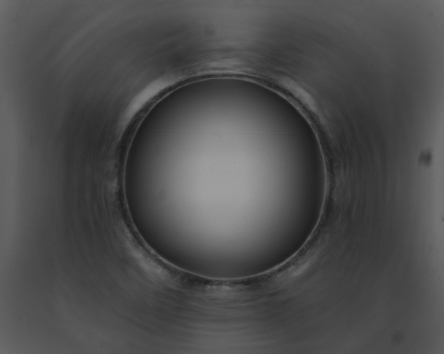 X0000091461458200708301821