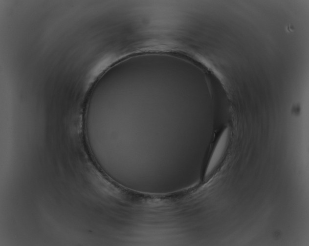 X0000091461459200708301821