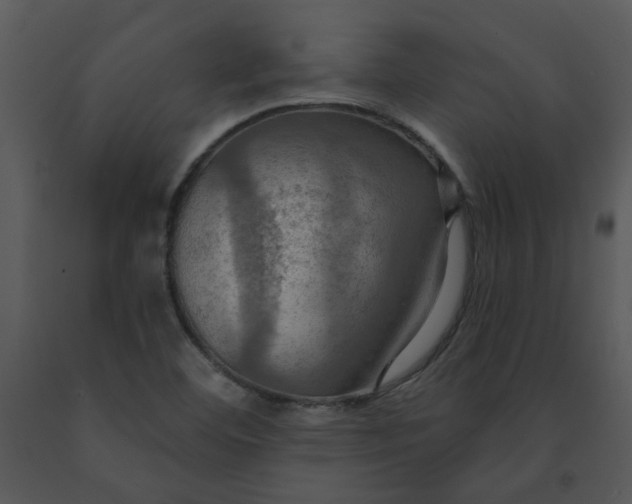 X0000091461460200708301821