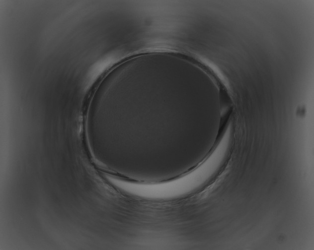 X0000091461461200708301821