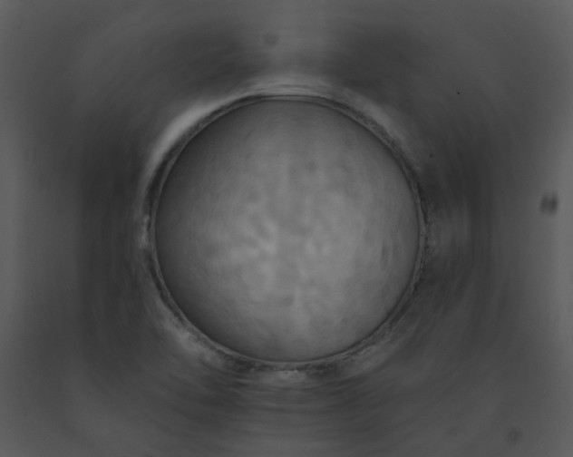 X0000091461462200708301821