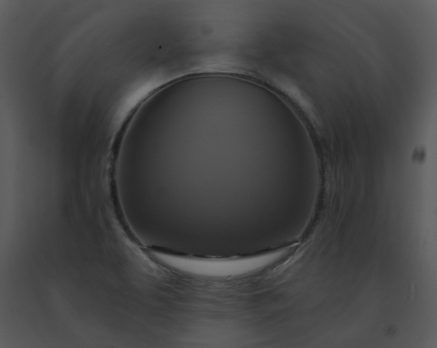 X0000091461463200708301821